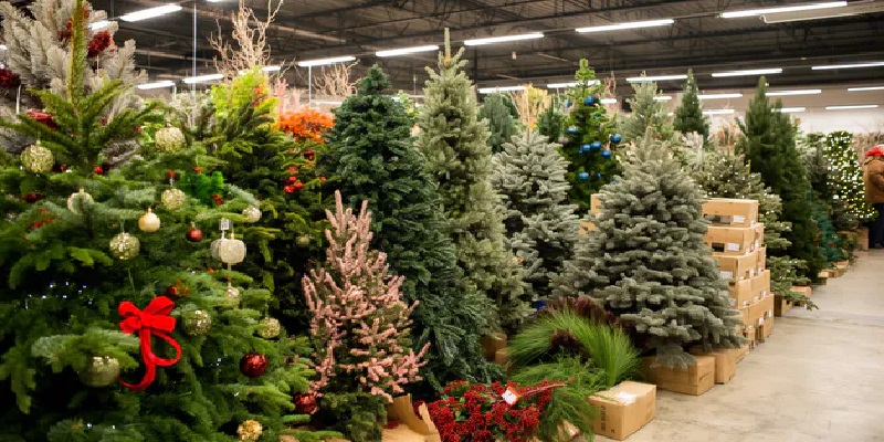 Choinki luksusowe Premium - elegancja i jakość