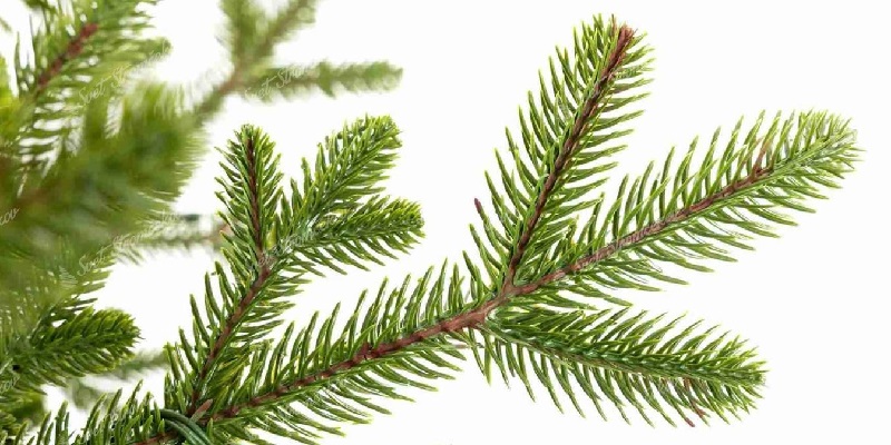 Materiały choinek sztucznych - PE vs PVC vs mieszane